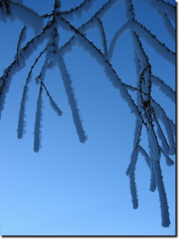 wintersujet_jan_2005-7.jpg