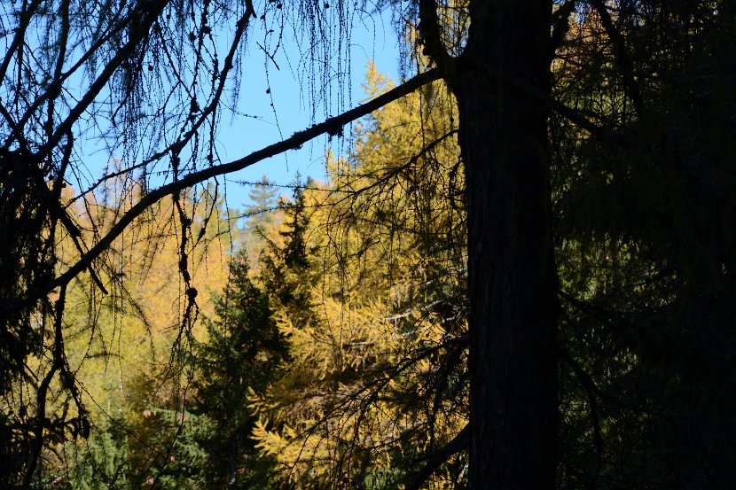 DSC_4621