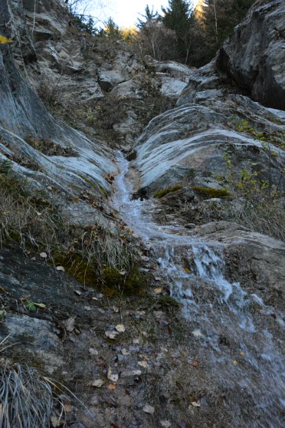DSC_4630