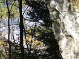 DSC_4592.JPG