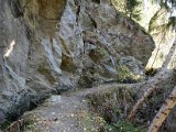 DSC_4593.JPG