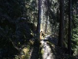 DSC_4597.JPG