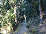 DSC_4600.JPG