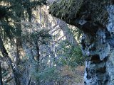 DSC_4602.JPG
