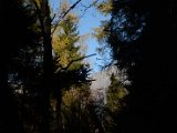 DSC_4606.JPG