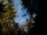 DSC_4607.JPG