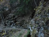 DSC_4616.JPG