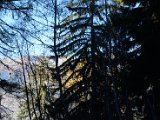 DSC_4617.JPG