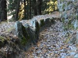 DSC_4620.JPG