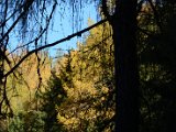 DSC_4621.JPG