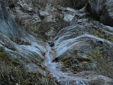 DSC_4630.JPG