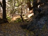 DSC_4631.JPG